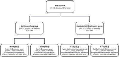 Perceiving Positive Facial Expression Can Relieve Depressive Moods: The Effect of Emotional Contagion on Mood in People With Subthreshold Depression